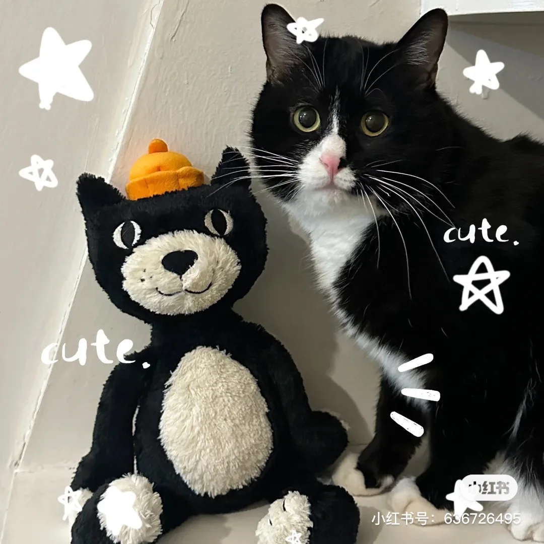 

JELLYCAT Lucky Cat Plush Toy Animal Doll Baby Soothing Doll 25th Anniversary New Product Limited Cute