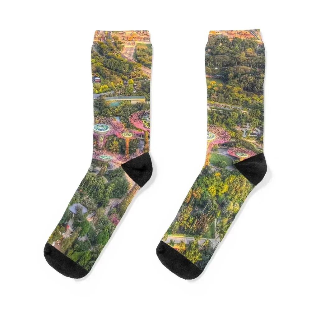 Singapore Gardens By The Bay Socks compression anti slip football funny gift Socks Women Men's