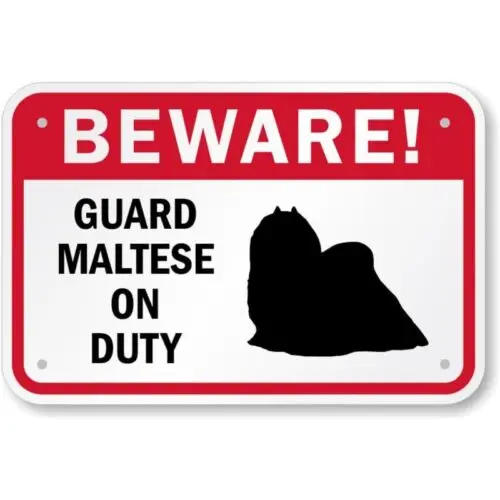 Beware Guard Maltese Aluminum Weatherproof  Sign-Aluminum