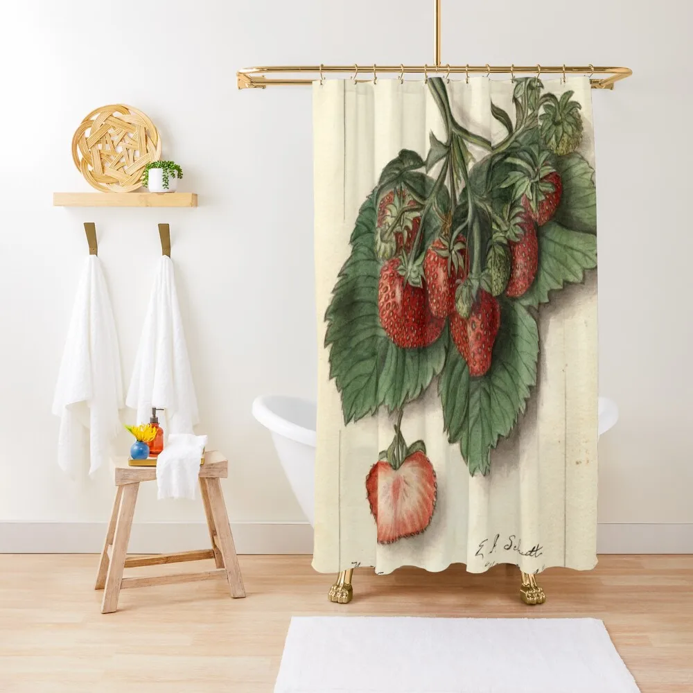

Vintage Strawberries Shower Curtain Shower Bathroom In The Bathroom Bathroom Fabric Curtain