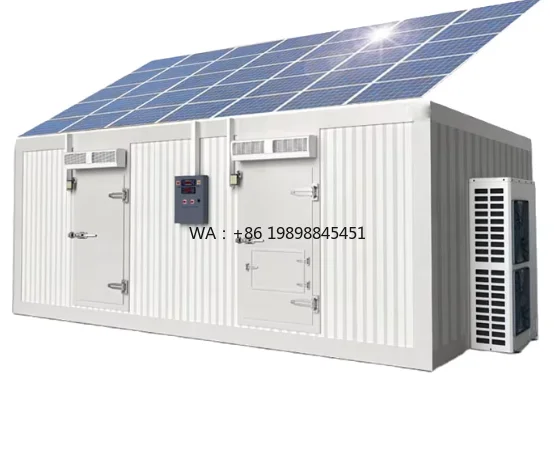 Solar Portable Walk-in Refrigerated Box Customizable Off Grid Constant Temperature Cold Storage Cabinet for Outdoor Cold Chain