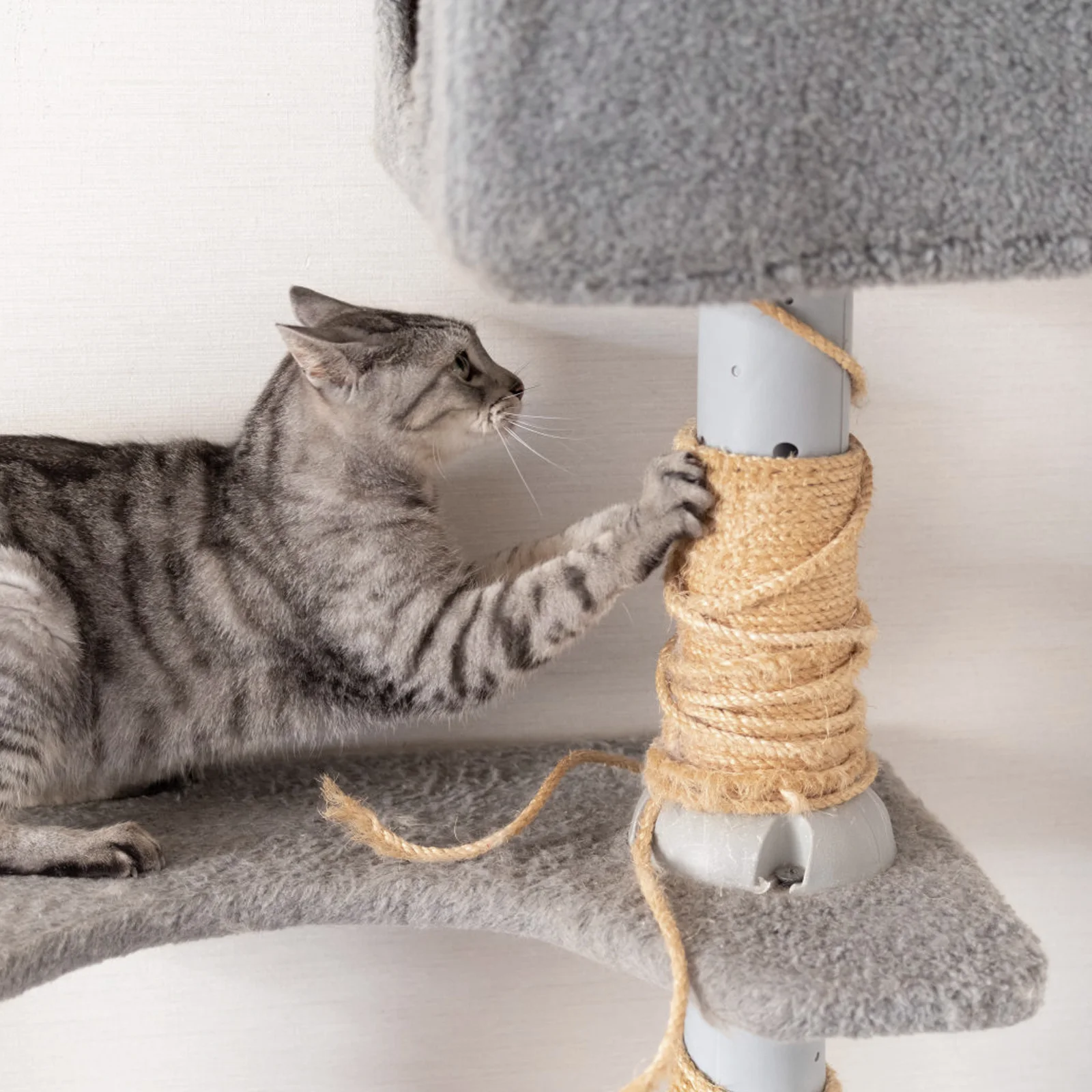 

Natural Sisal Roll For Scratcher Replacement Durable Hemp Rope Diy Cat Trees Furniture Protection Cuttable Sturdy Scratching