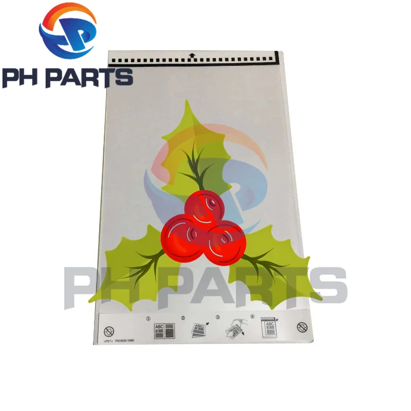 5pc B12B819051 B12B813431 Carrier Sheet compatible for Epson A4 Scanner Scan A3 B4 Odd-Sized Flimsy Wrinkled Folded Torn Paper R