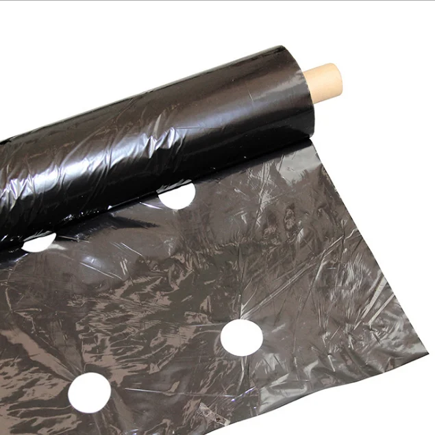 2025年農業用プラスチックマルチフィルム（穴あき/穴なし）