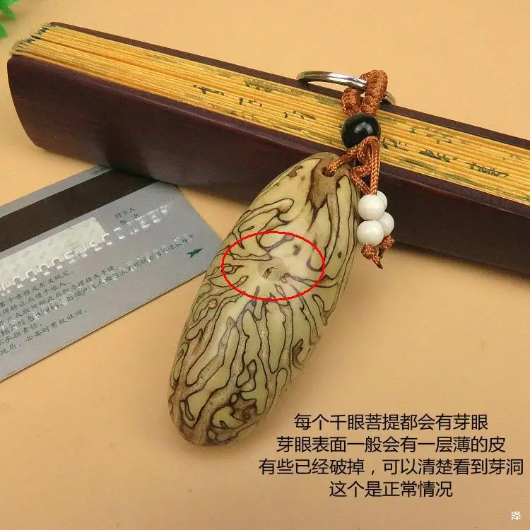

7PC set wholesale natural large thousand eyes Bodhi Sakya Original Fruit child keychain jewelry hot gift pendant