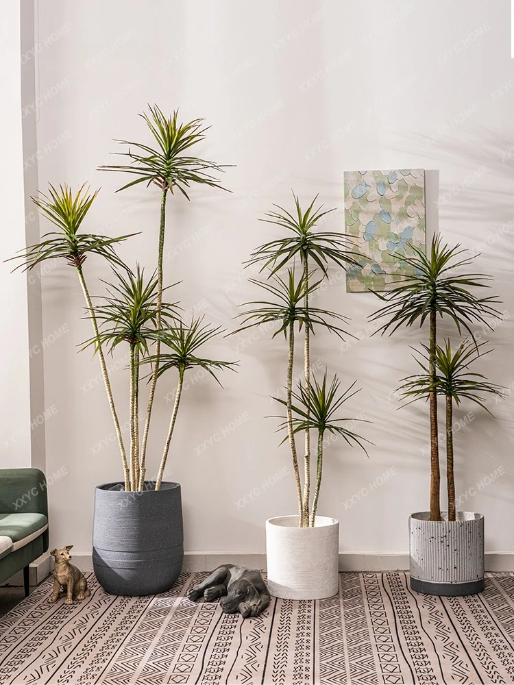 Dracaena Dracaena Marginata Fake Trees Green Plant Indoor Living Room Decoration Ornaments