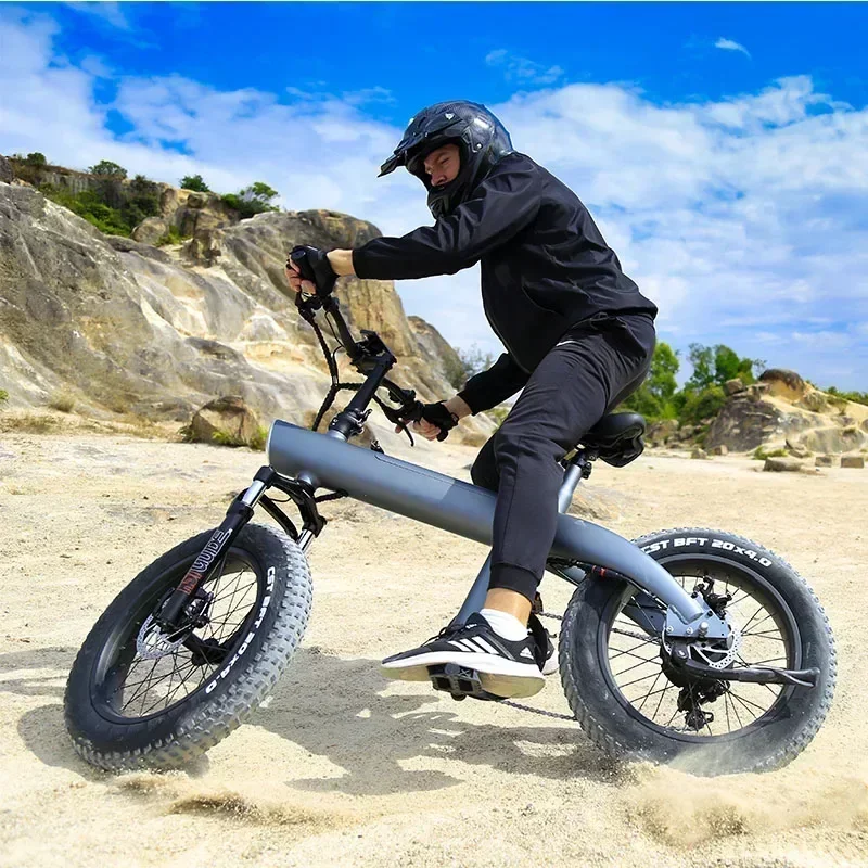 

Ebike Q3 PLUS 48v 750w 13ah 20 Inch Fat Tire Folding Off-road Bike Adult Off-road Mountain Electric Hybrid Bike