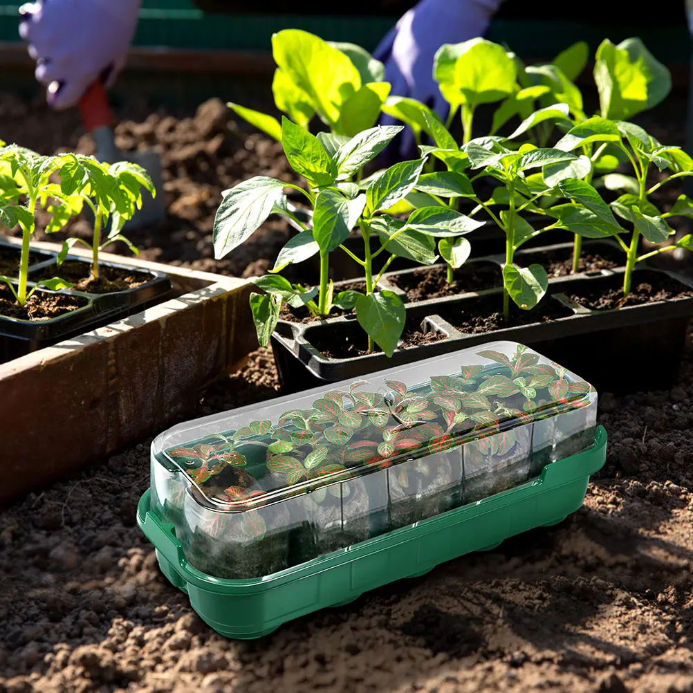 

6Sets Germination Trays Perfect Nursery Tool Multi-Function Window Sill Propagator Vegetable Growing Plant Germination Box