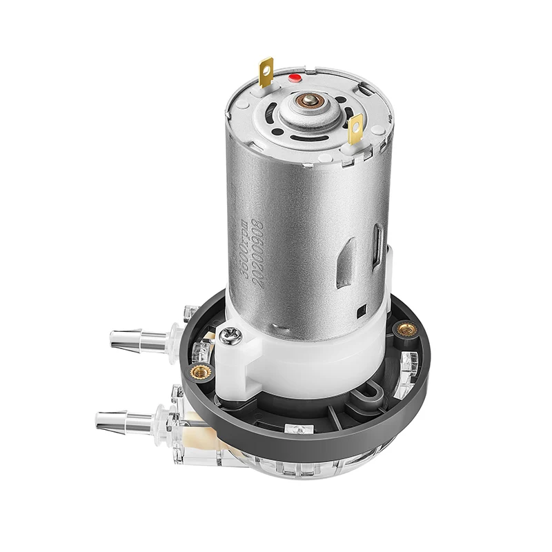 PENGPU 240mLPM Micro Peristaltic Pump 12V 24V DC Brushed with BPT Tube for Liquid Transfer 1000H Long Lifetime