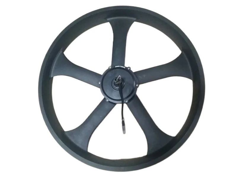 One Wheel 750W, Suitable for Tires 26 * 4, Rear Fork Open Gear 190mm, Exposed Thread 200mm (excluding Head)