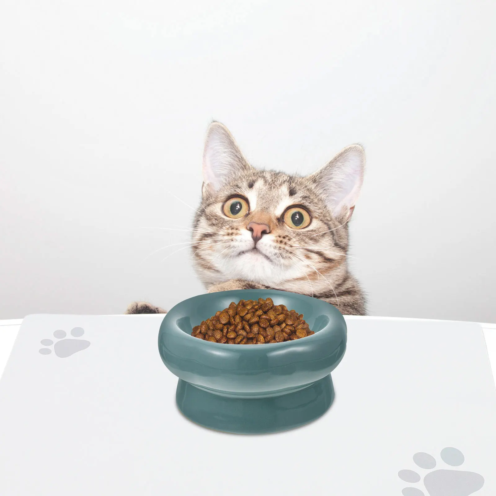 

Anti Slip Dog Food Mat 60x40 Blue Large Pet Feeding Mats for Cat Bowls Water Feeder Absorbent Silica No Easy Clean Pet