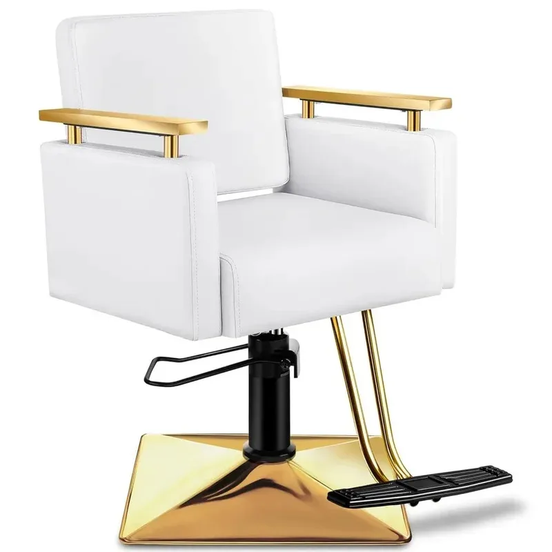 

Salon Chair, Barber Chair with Stainless Steel Armrests, Hairdressing Chairs for Stylists, Hydraulic Salon Chair