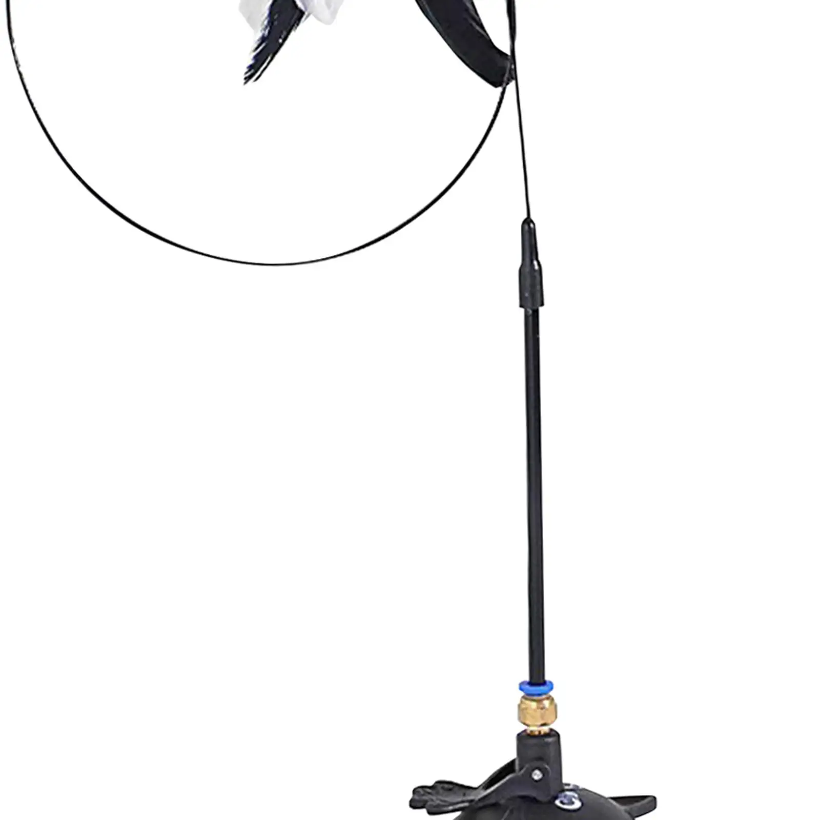 Jouet de anciers de chat avec ventouse, jouet d'exercice domestique, jouets de plumes portables pour animaux de compagnie, jeu d'exercice pour chatons