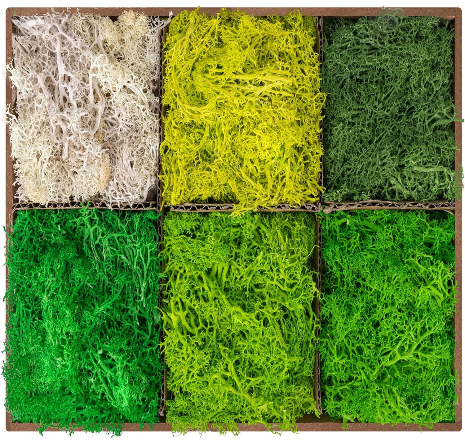 Artificial Green Plants Fake Grass DIY Crafts Eternal Life Moss Grass for Home Garden Decoration Mini Landscape 20/60g