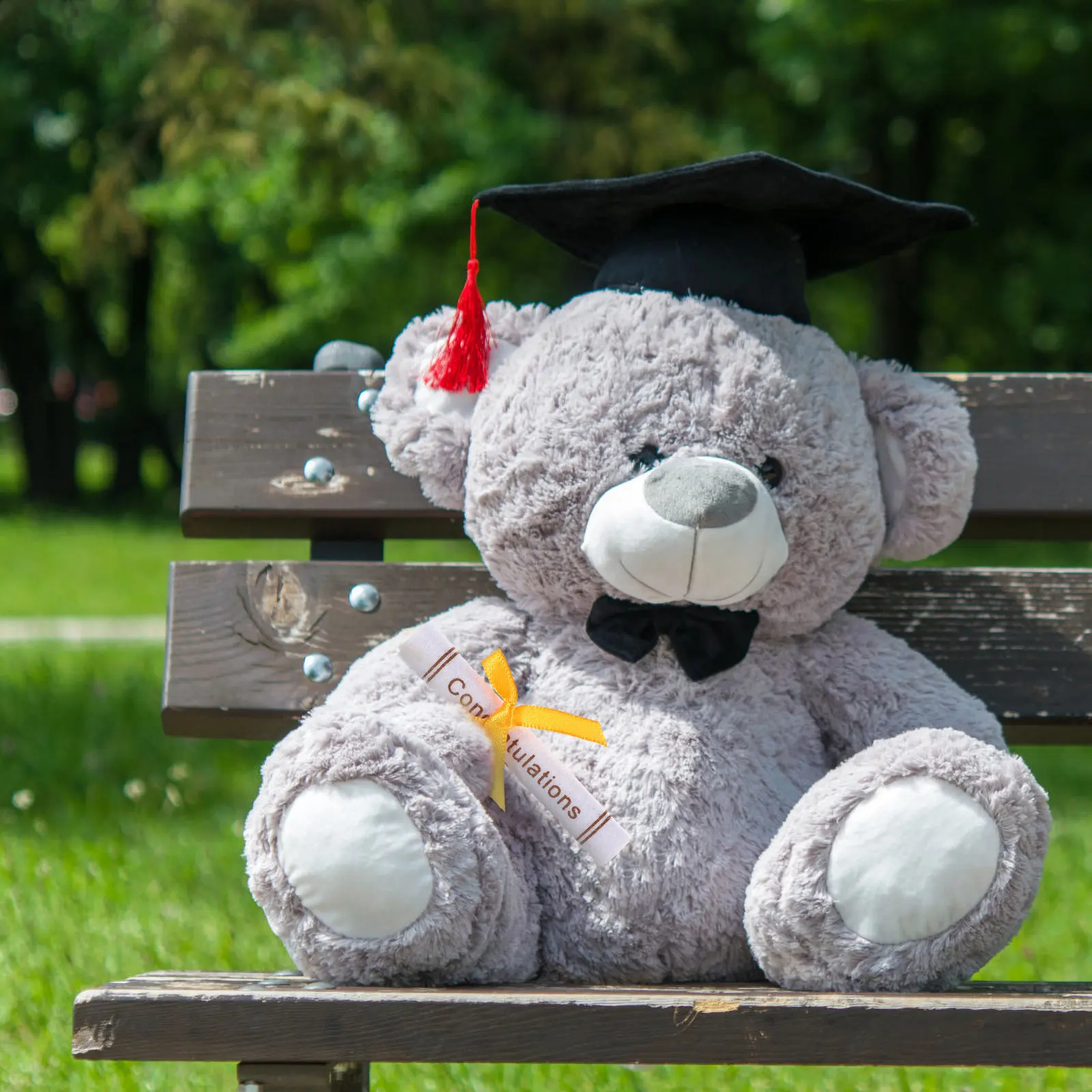 

25Pcs Graduation Certificate Scroll Ornament Non-Woven Micro Landscape Desktop Adornment for Grad Party Decor Graduation Season