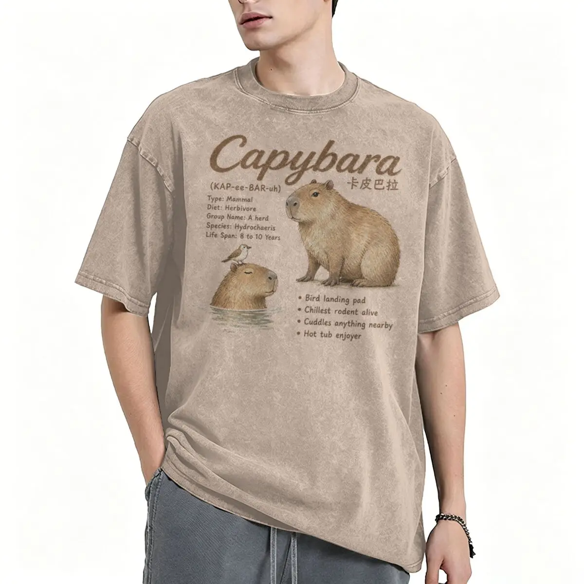 Capybara Cute Water Rodent Scientific Retro Washed T-shirt Men's And Women's Fashion Hip Hop T-shirt 100% Cotton Casual T-shirt