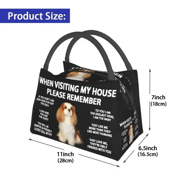 Caixa térmica de Bento para homens, adequada para piquenique ao ar livre, Cavalier King, charles Spaniel, Cão, Refrigerador reutilizável, Lunch Bags isolados