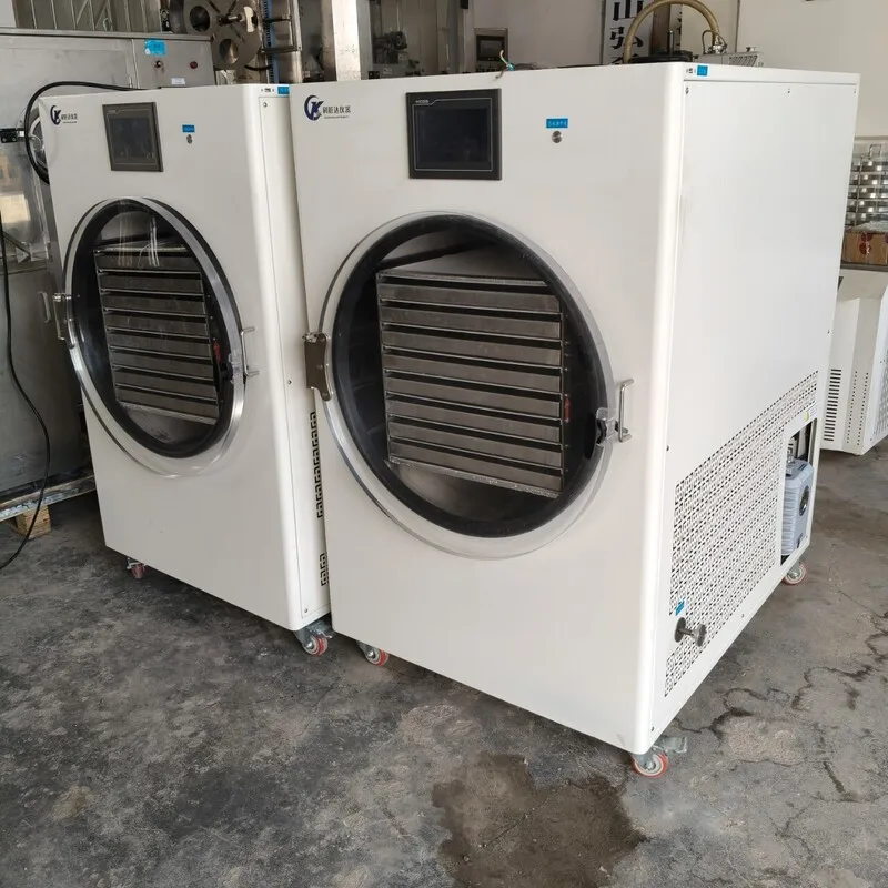 Household Vacuum Machine For Fruits Meats,Pet Food,Cordyceps - Small Freeze-Drying Equipment Manufacturer