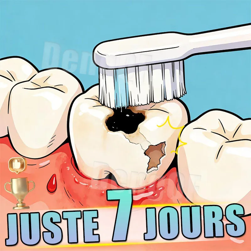 

Чистка зубов каждые утро и вечерние делают его легко восстанавливать микрокасти.