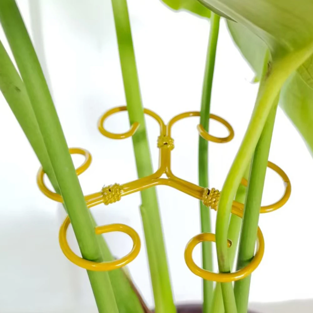 5Pcs Plant Stem Support Reusable Monstera Plant Support Plant Stem Holder Plant Stabilizer for Thriving Growth