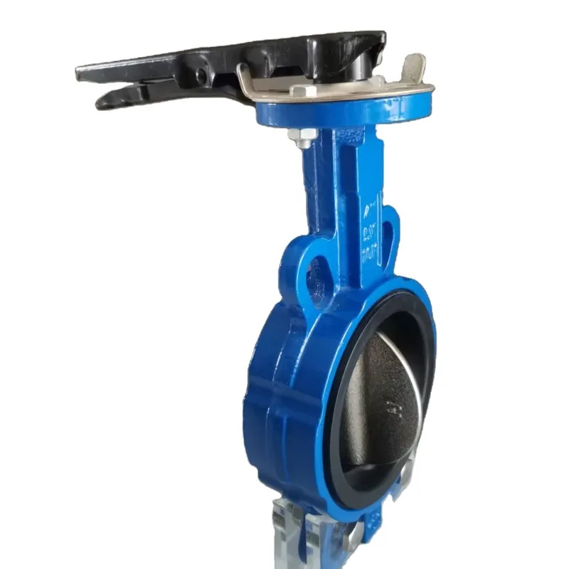 D71X-16 Manual Clamp Butterfly Valve Ductile Iron Handle DN40-DN300 Port Size Water Supply
