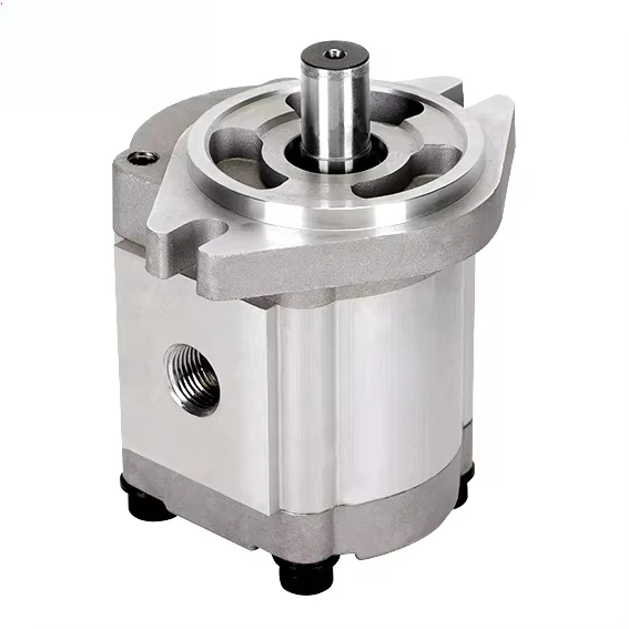 

High Pressure Hydraulic Gear Pump Mini Pumps