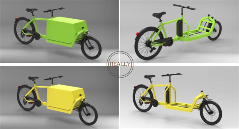 Closed Body Type Electric Tricycle Cargo Two Wheels Cargo Bike Electric Tricycles For Carry Children and Carry Goods