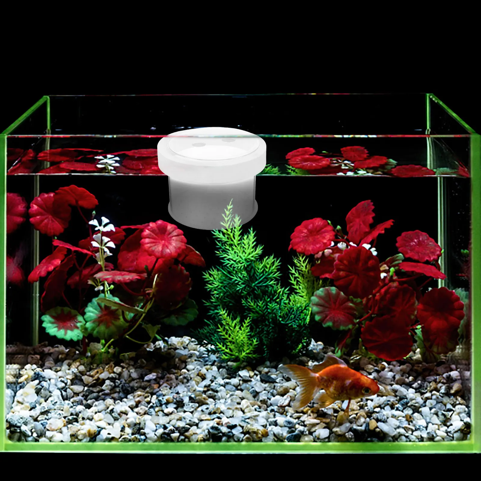 

Suspended Isolation Box Aquarium Nursery Tank Incubator Separator Betta Baby Fish Separator Small Fish Breeding Box Practical
