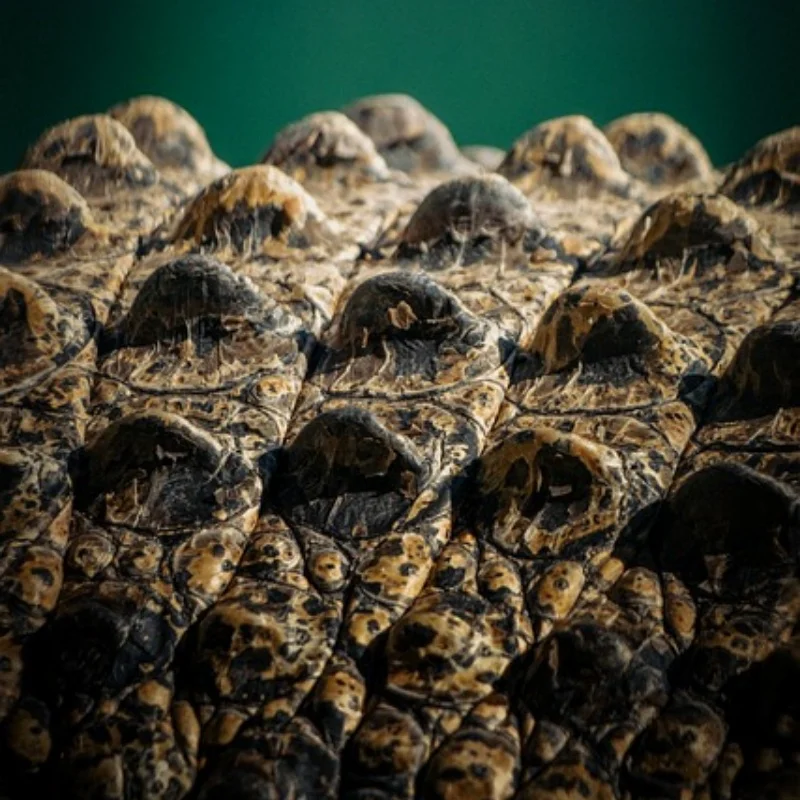 

1 шт. пластиковый инструмент для ремонта рабочая подставка для 1/12 1/10 1/8 RC автомобиля грузовик багги RC гусеничный осевой SCX10 Traxxas TRX4