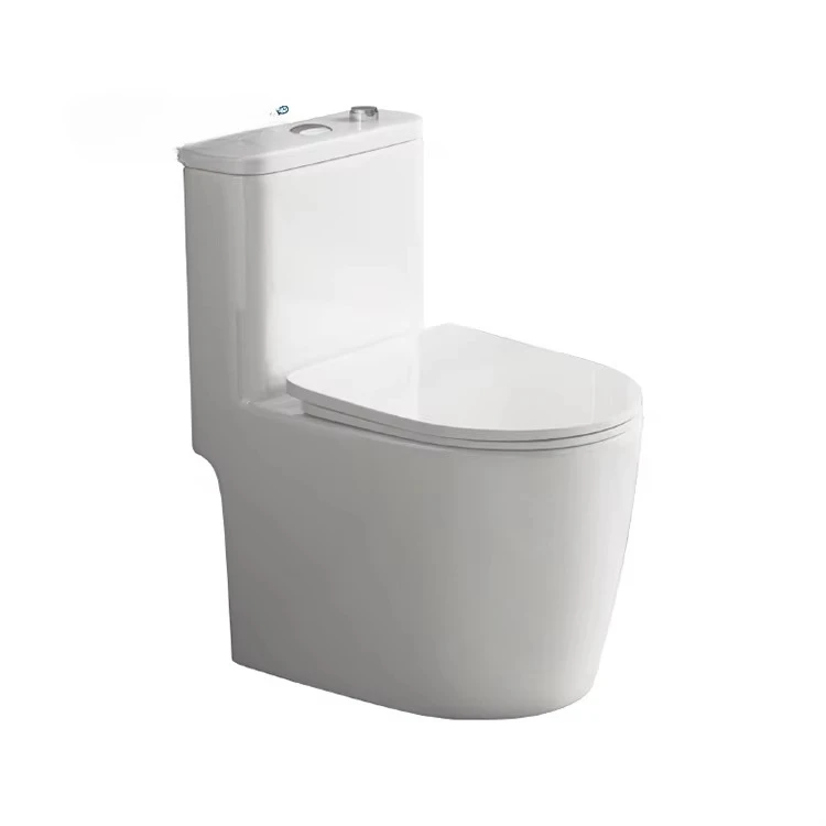 xx-Ceramic One-Piece Single Flush Toilet Siphon Jet Soft Closing Seat With Tank Elongated Bowl Floor Mounted Modern Design