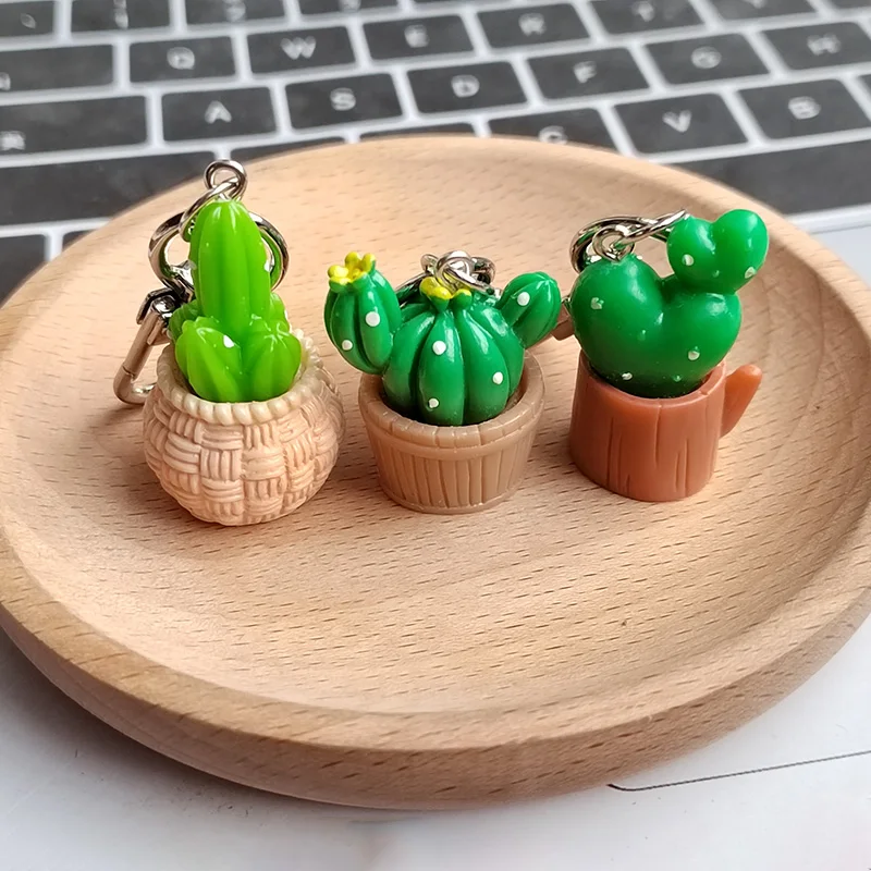 الراتنج ثلاثية الأبعاد الصبار بوعاء المفاتيح كيرينغ للنساء الرجال صديق لطيف الإبداعية عصاري زهرة النبات حقيبة صندوق مفتاح السيارة الملحقات #2