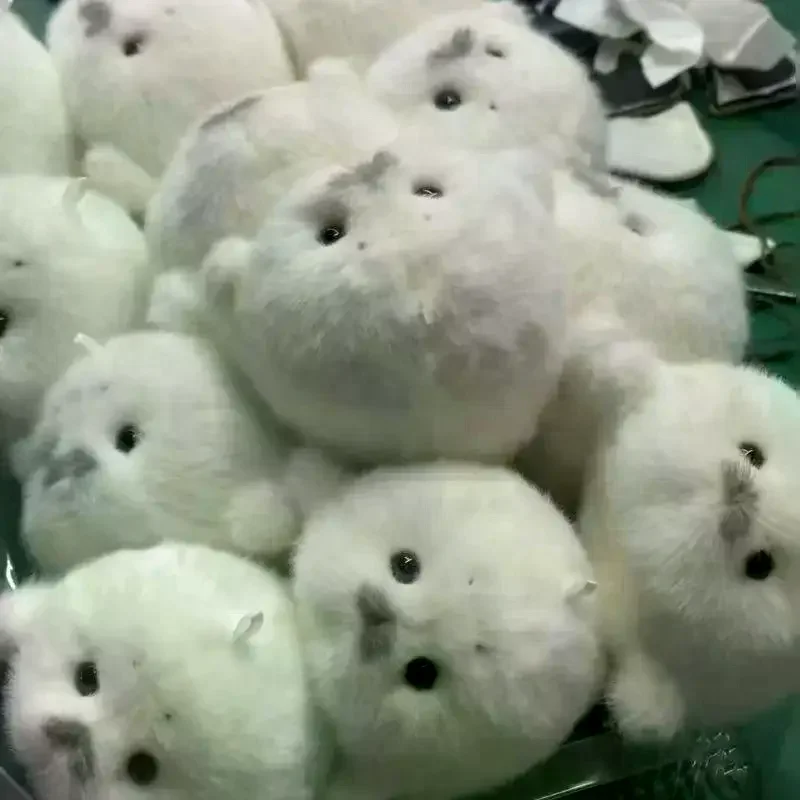 /Cna/Baby Seal Doll Plush Toy Pendant Simulation Ocean Toy Souvenir Seal Pendant Gift Doll Bag Pendant Cute