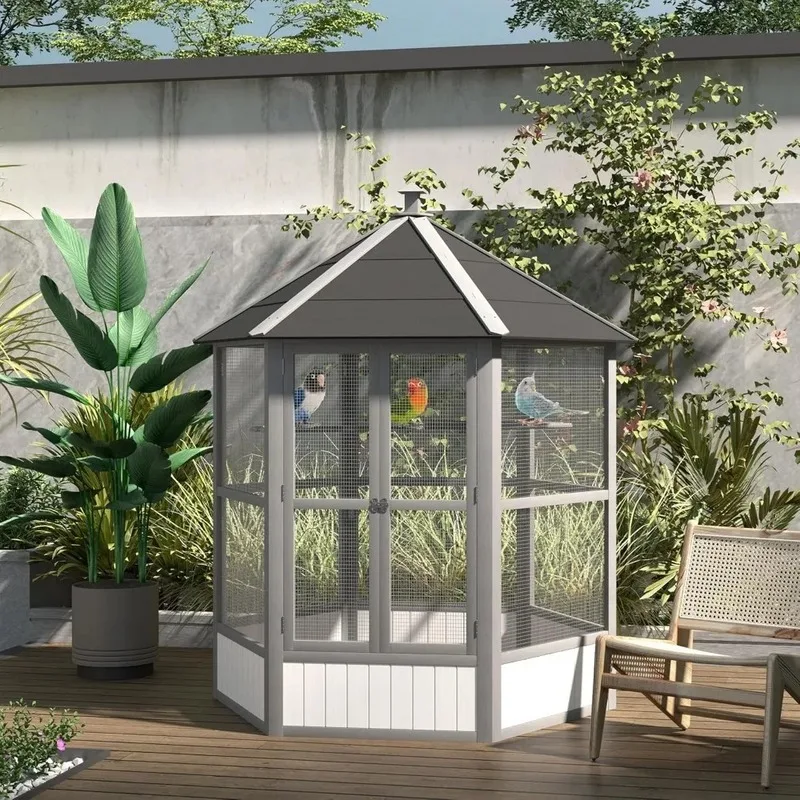 Is an Outdoor Bird Cage Better Than an Indoor One?