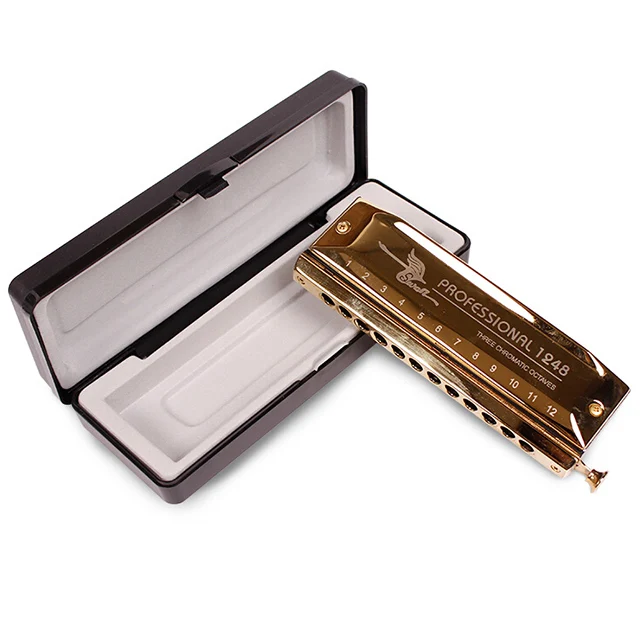 

Hooqu SW1248-4 12 Hole 48 Tone Thick Blow Mouth Practice Playing Gold Chromatic Harmonica