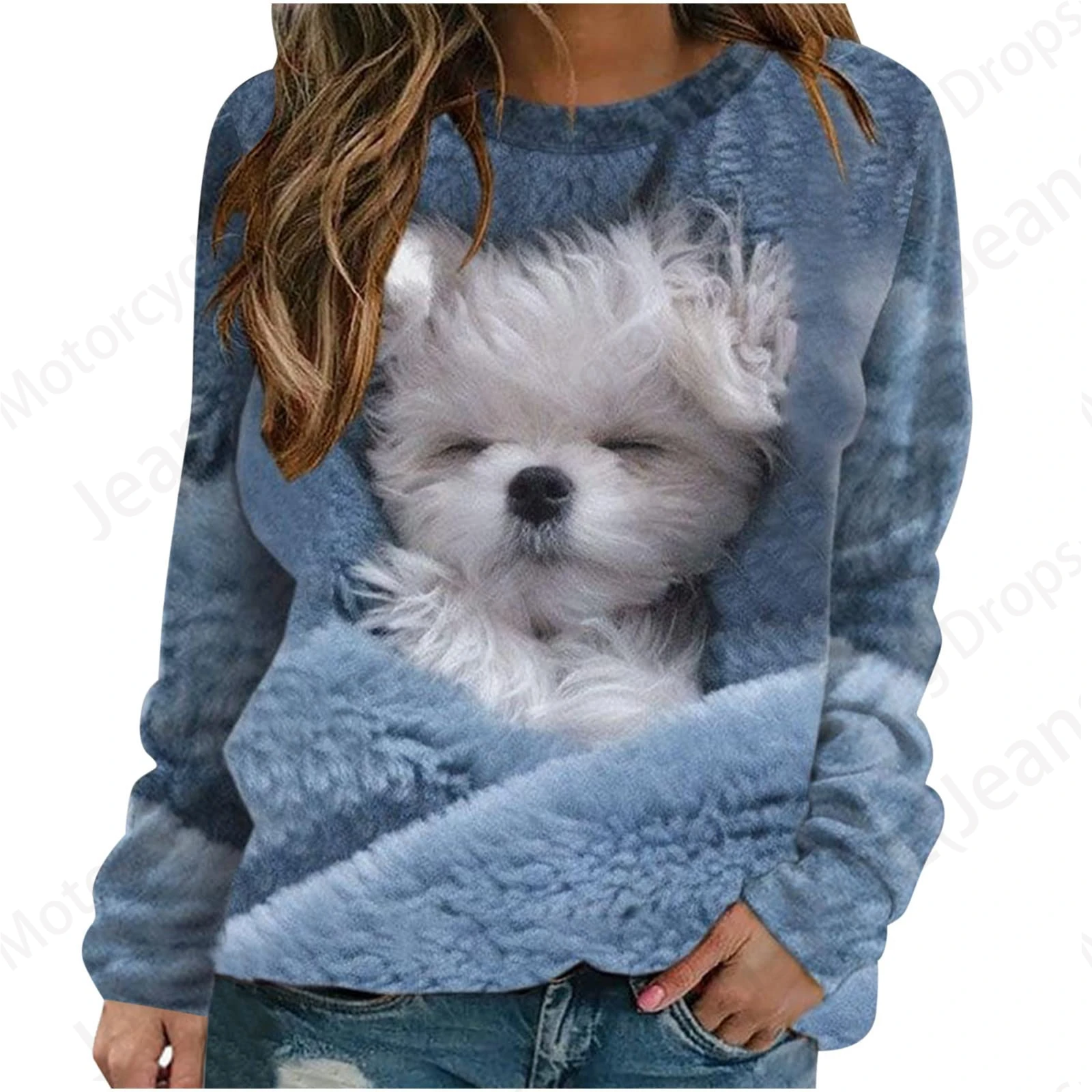 Cute Cat 3d Print Graphic Hoodie Women Fashion O-neck Hoodies Women Sweats Warm Coat Girl Clothes O-neck Loose Hoody Female Fall