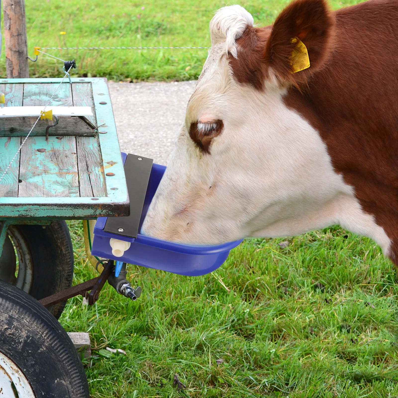

Automatic Cow Drinking Bowl Livestock Feeder Farm Animals Waterer Durable Plastic No Rust Constant Level Outdoor Cow Water