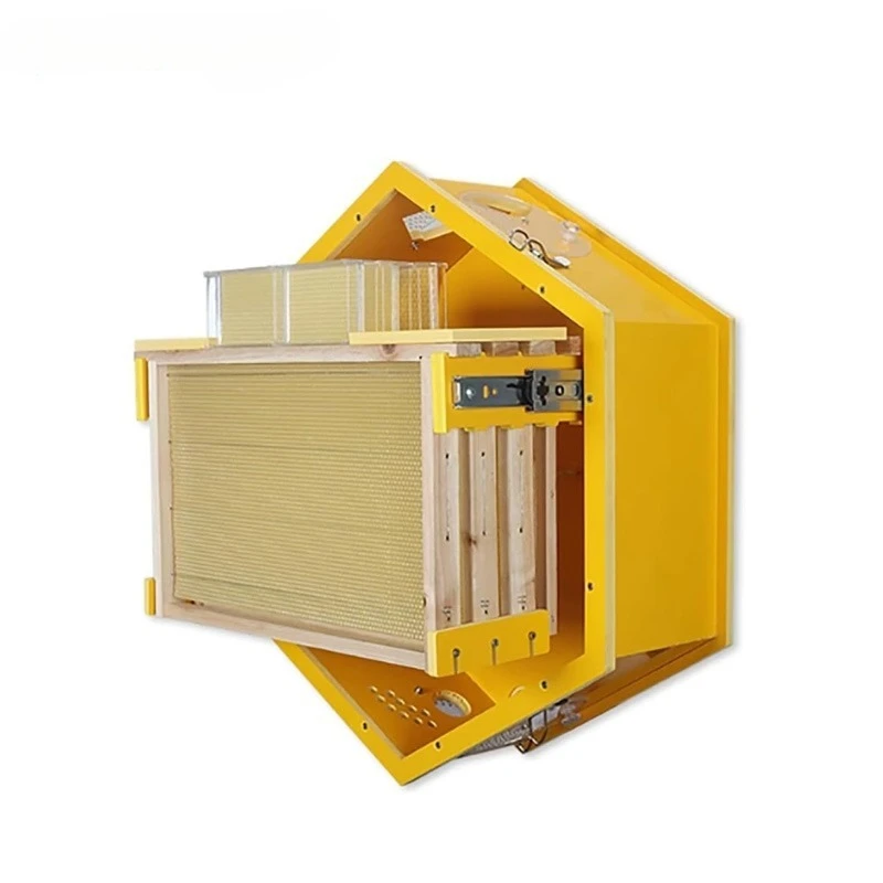 Beekeeping Observation Beehive Starter Kit Wall Mounted Hexagonal Beehive