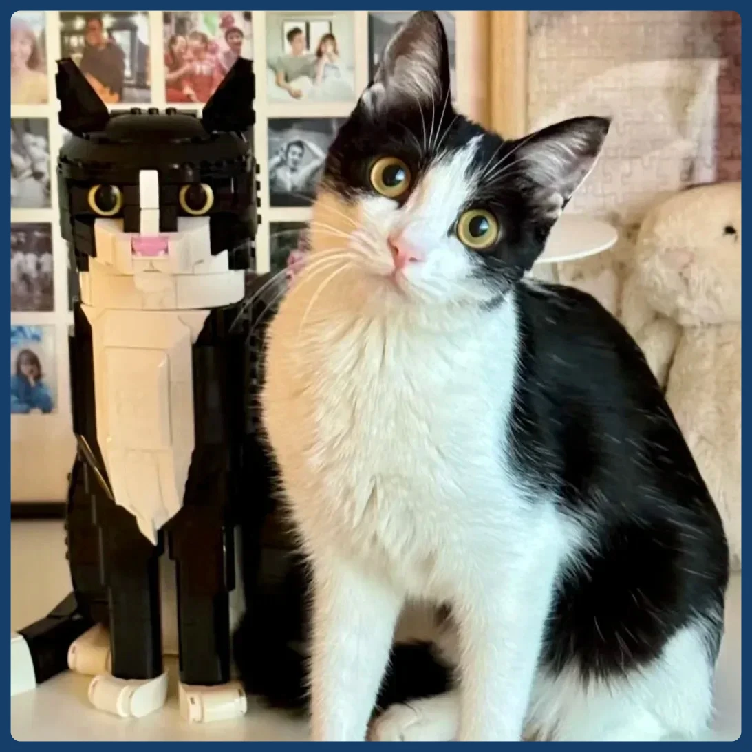 

MOC Tuxedo Cat Building Blocks 21349 Cartoon Animal Assembly Toy Diy Educational Puzzle Toys Children's Gifts for Friends
