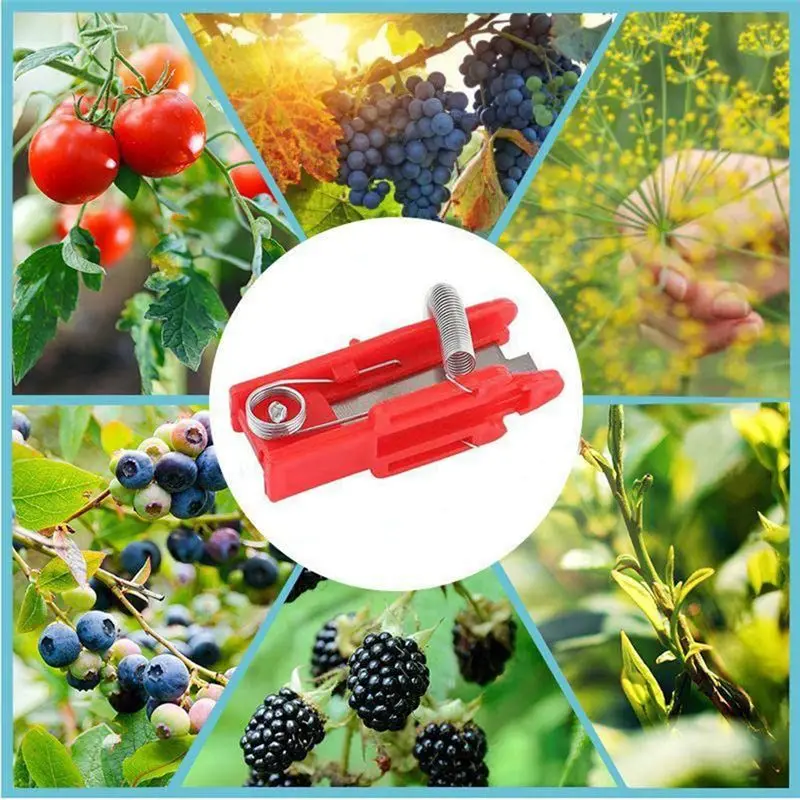 Thumb Tool For Picking Tea Leaves Multifunctional Thumb For Picking Tool For Picking In Farm Gardens And Orchards 12Pcs