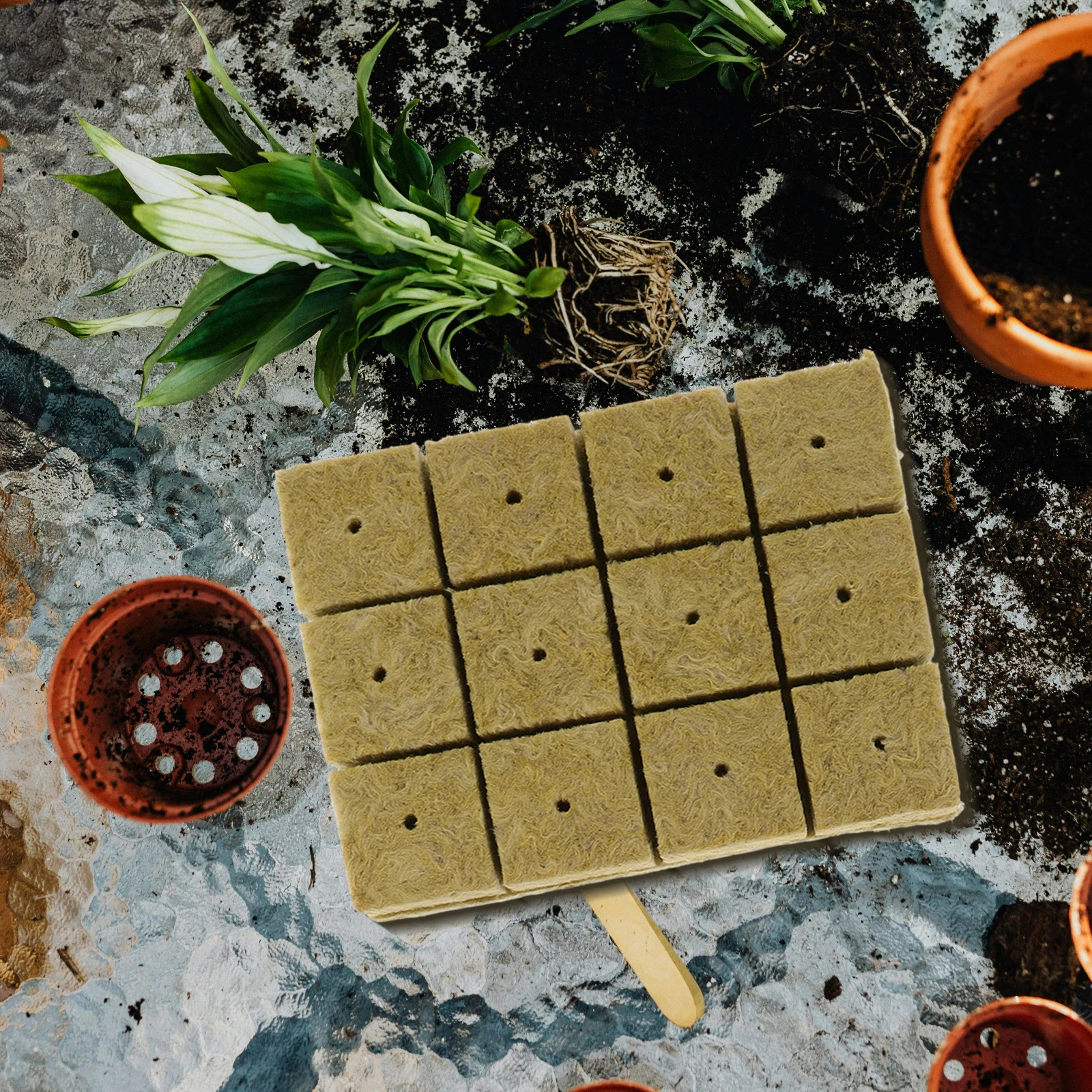 

Board Nutrition Block Hydroponics Grow Cubes Plugs Starter Nursery Soil Block Gardening Supplies Planting