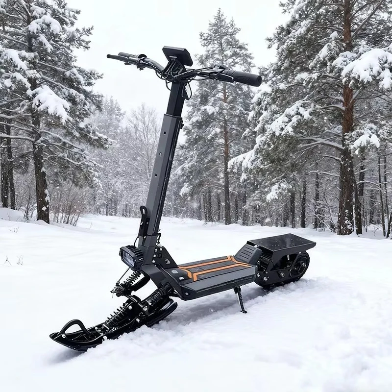 

800W all-terrain electric scooter, 48V20Ah battery and 100kg load, 3-speed snowmobile for snow and road