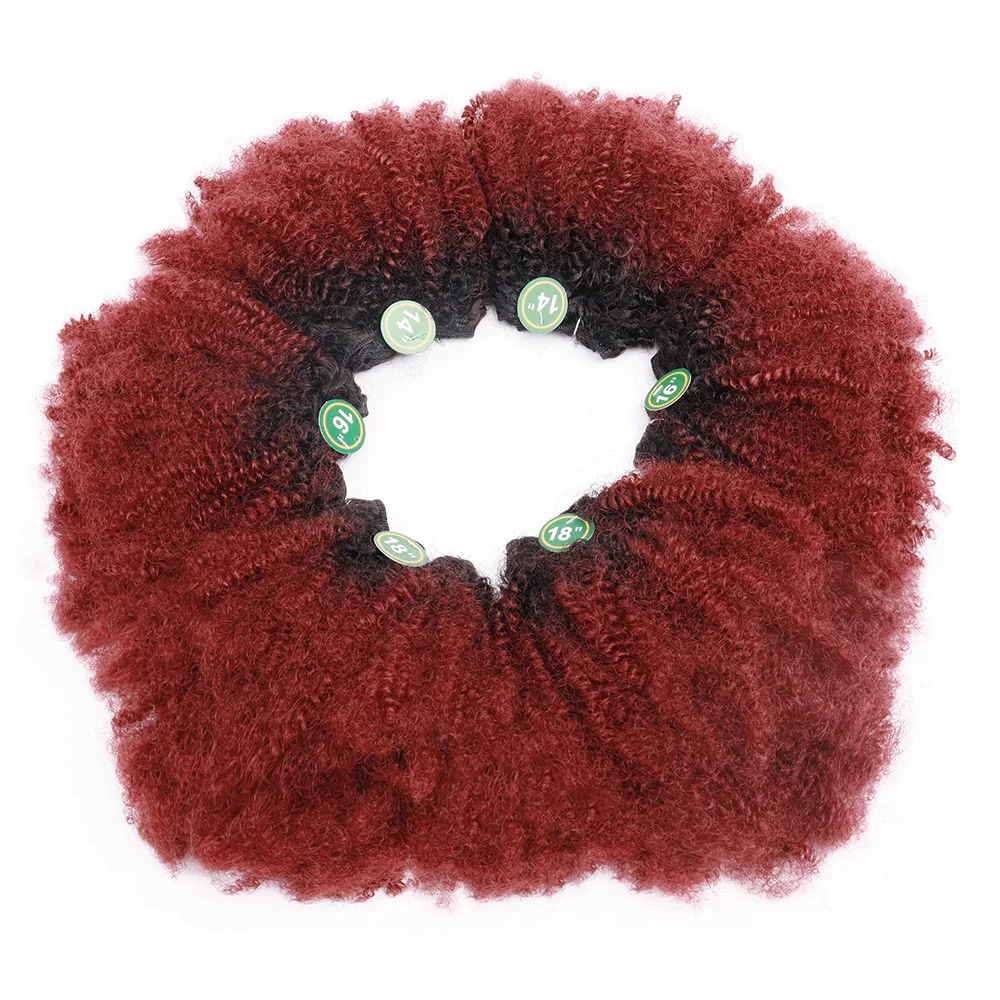 Synthetic Afro Curly Wave Hair Bundles with Closure for Women