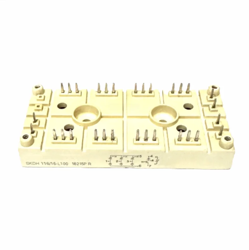 

New Original SKDH116/16-L100 Module