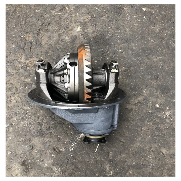DFAC Dongfeng 5 Gear Transmission Light Truck Differential Assembly with 19 Teeth Shaft Gear