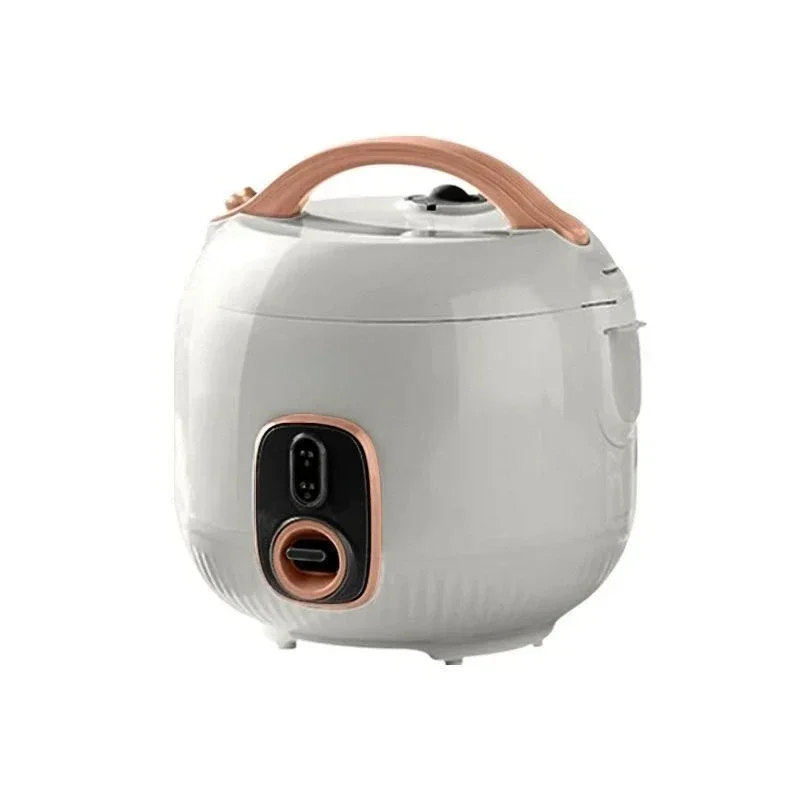 Rice cooker 2L liter household smart mini multi-functional rice cooker small 1-4 person cooking pot