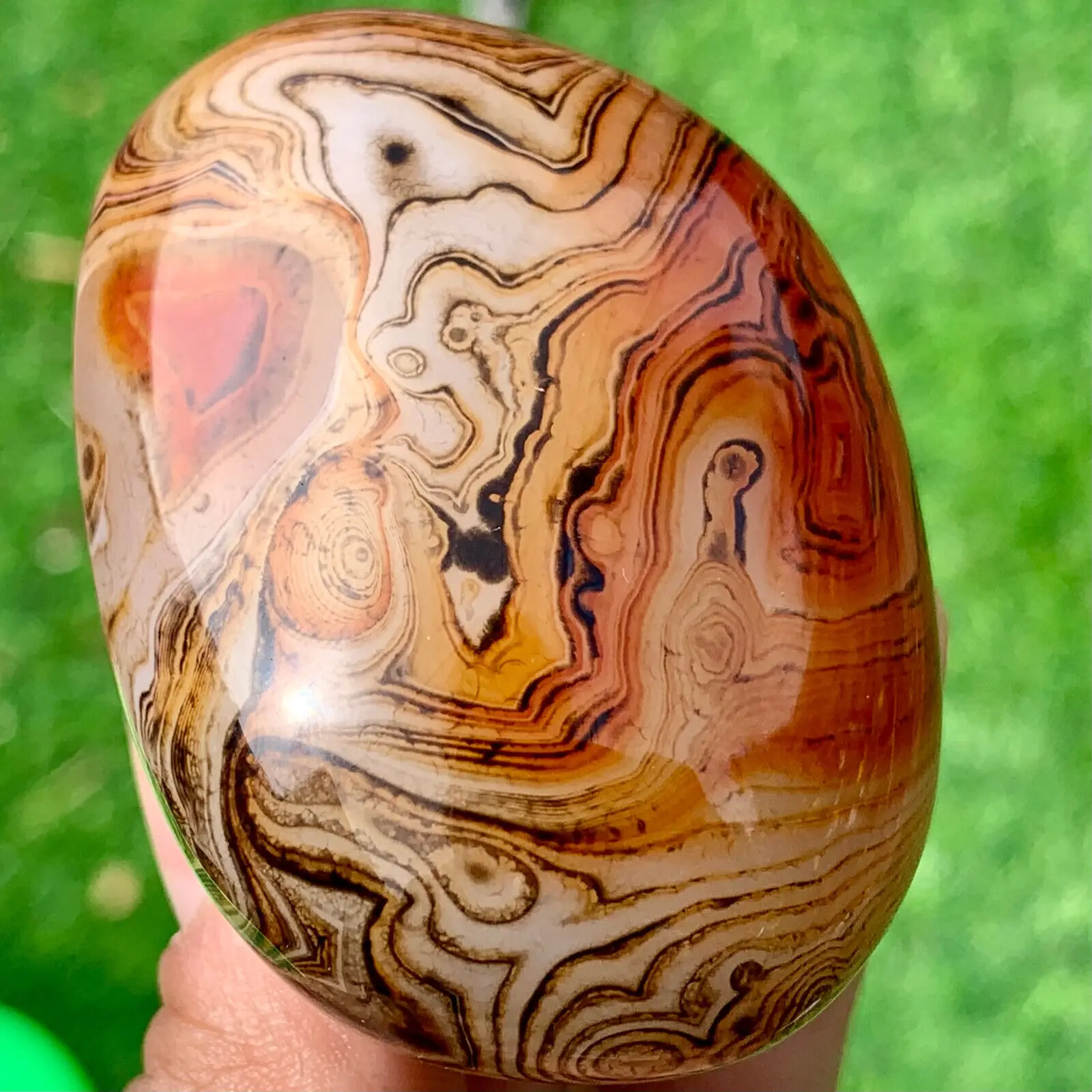 thumb