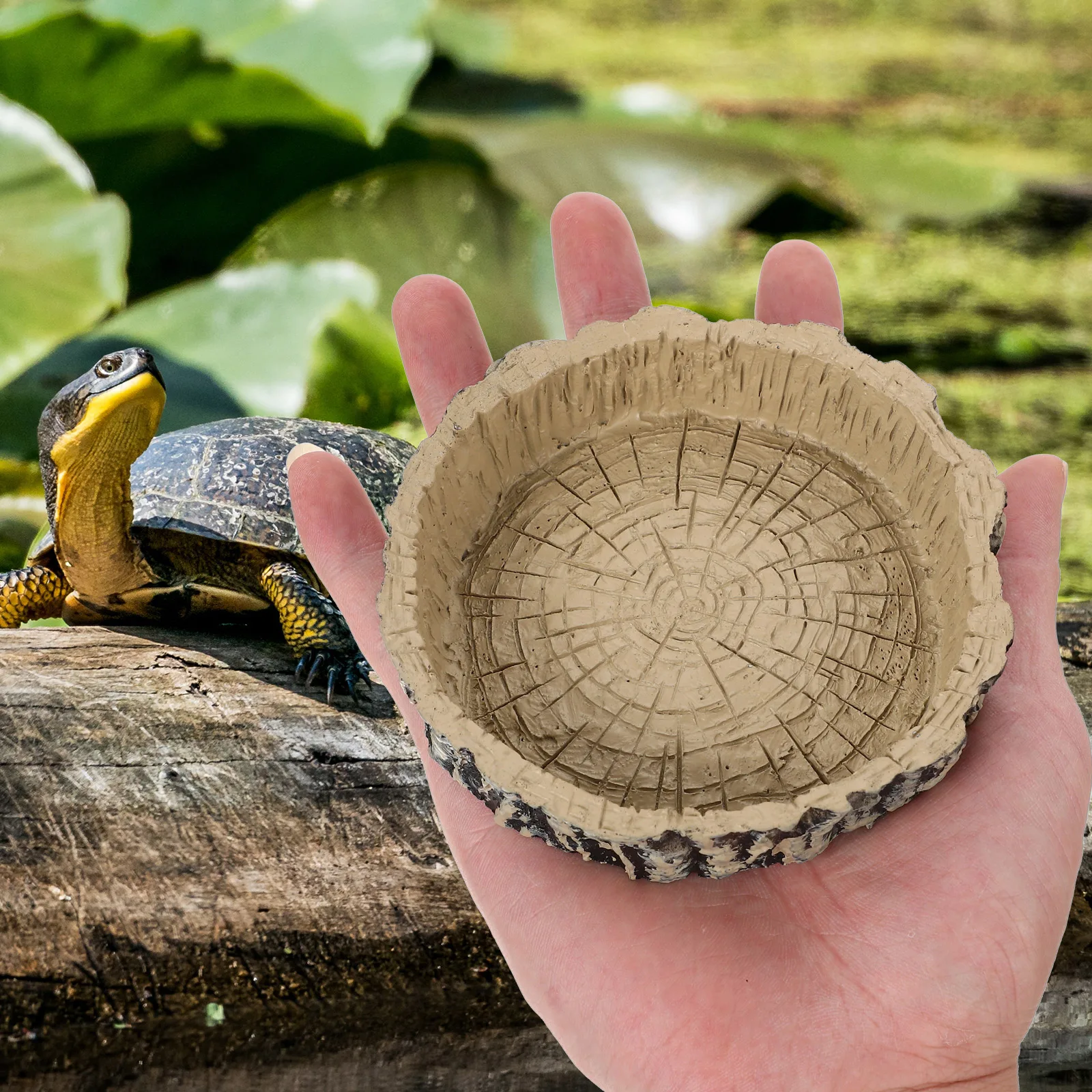 

Reptile Bowl Tortoise Water Dish Feeder Lifelike Natural Pet Bowls Snake Lizard Habitat Accessories Food Container TORTOISE