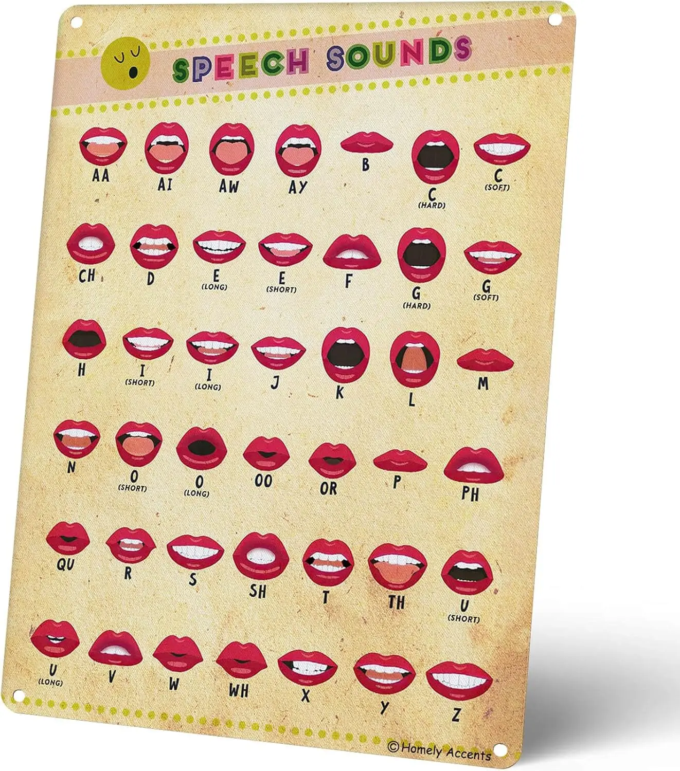 Homely Accents Phoneme Articulation Educational Poster, Vintage Metal Tin Sign with Vowel Mouth Diagrams, for Classroom and sign