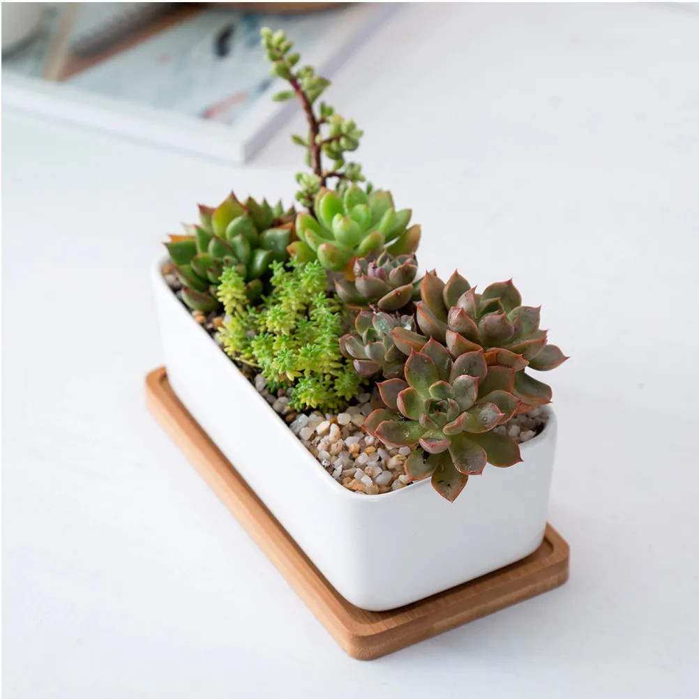 1Set Ceramic Oblong Flowerpot White with Bamboo Tray Succulent Planter Bonsai Pot Garden Plant Holder Gift for Plant Lovers