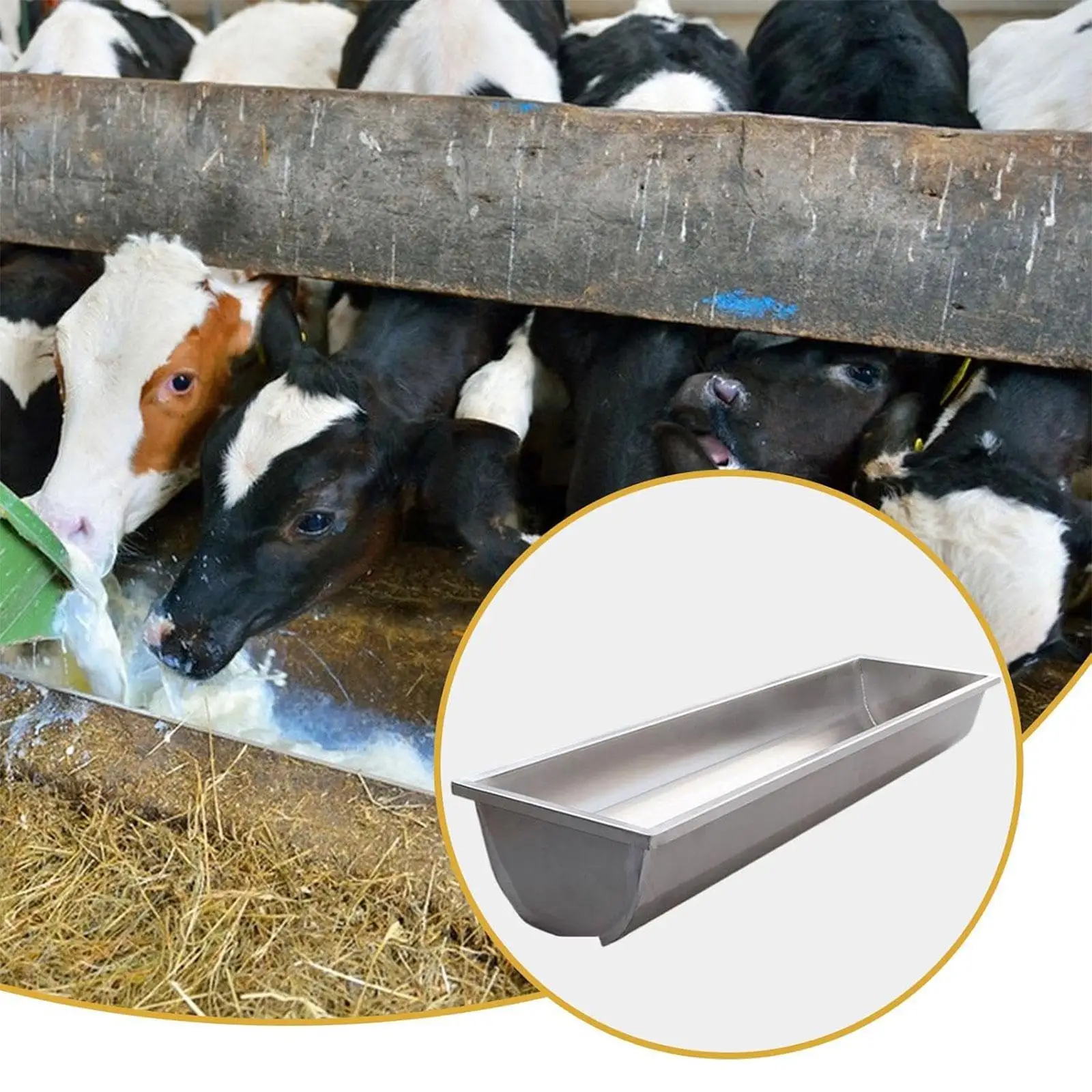 Thumbnail 3 - #31 Best Automatic Livestock Feeders to Buy In 2026